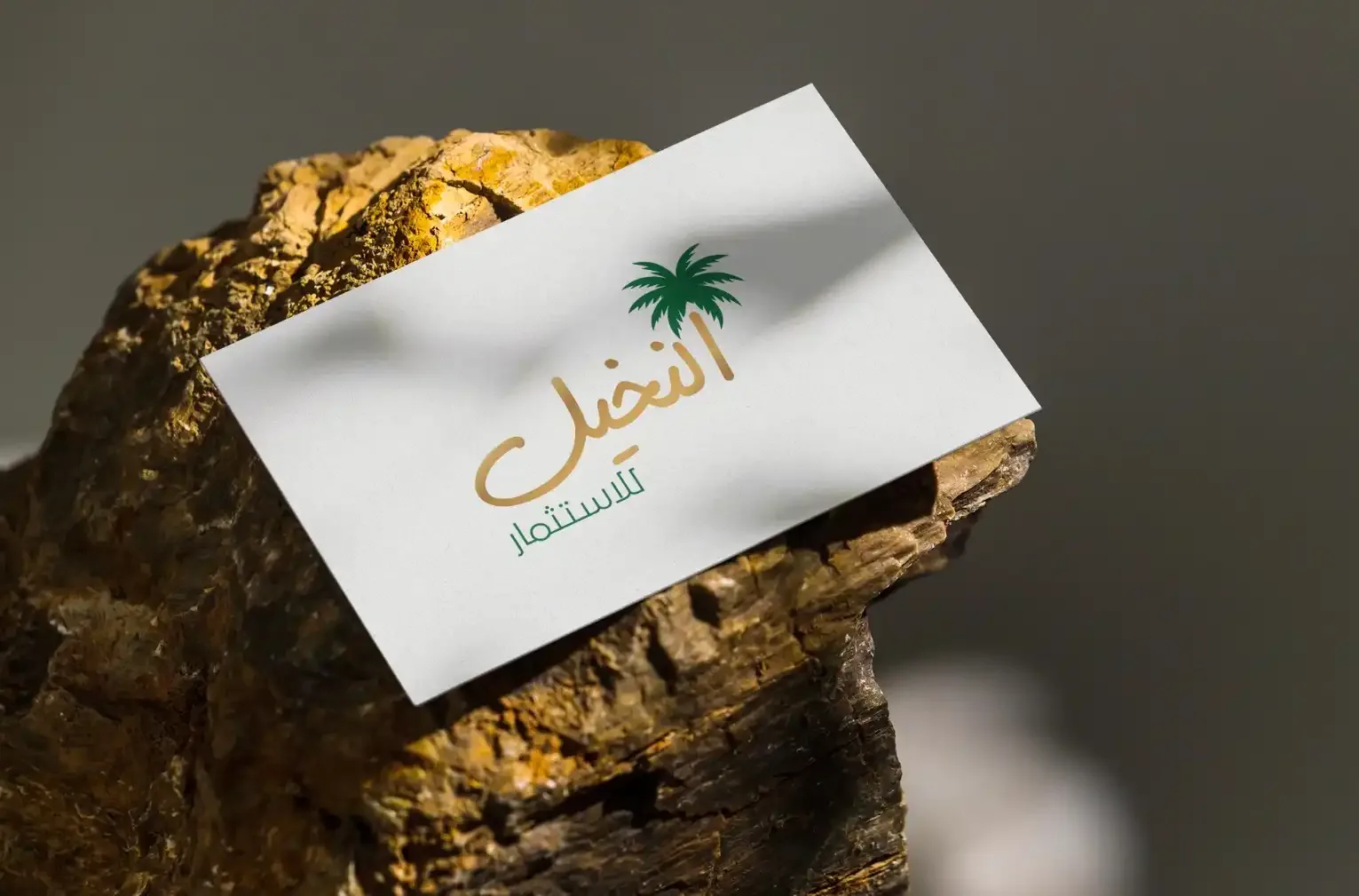 Palms Investment Arabic logo on a card