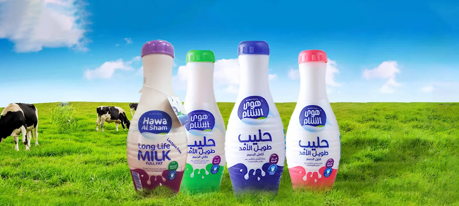 Web banner: long-life milk bottles in a green field