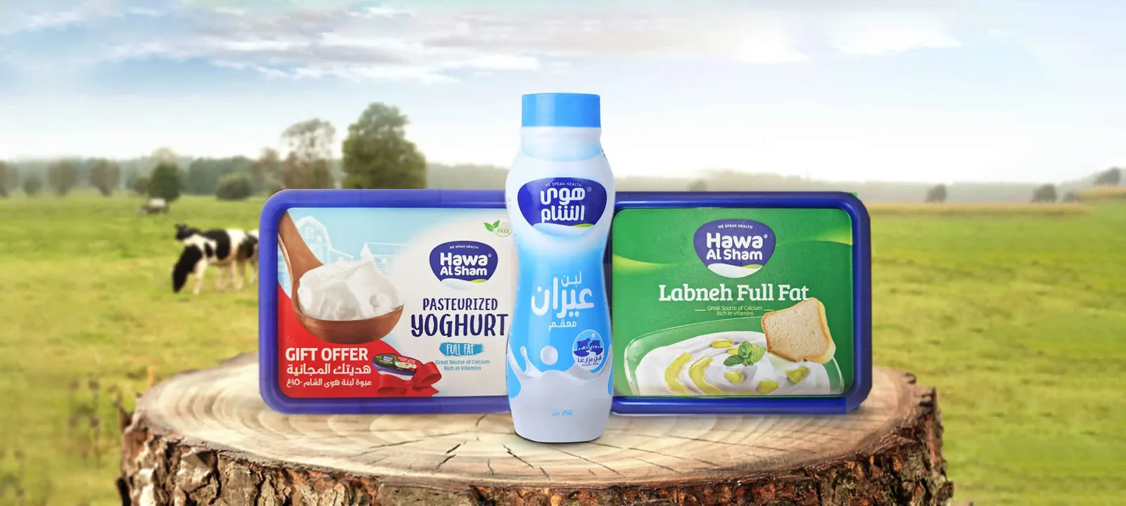 Web banner: yoghurt, ayran and labneh on a tree stump in a pasture