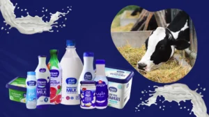 Hawa Al Sham: Website, Video and Print for a Syrian Dairy Brand | Kenania Inventive Arts Hawa Al Sham product line-up with milk splashes and a cow, from the brand video