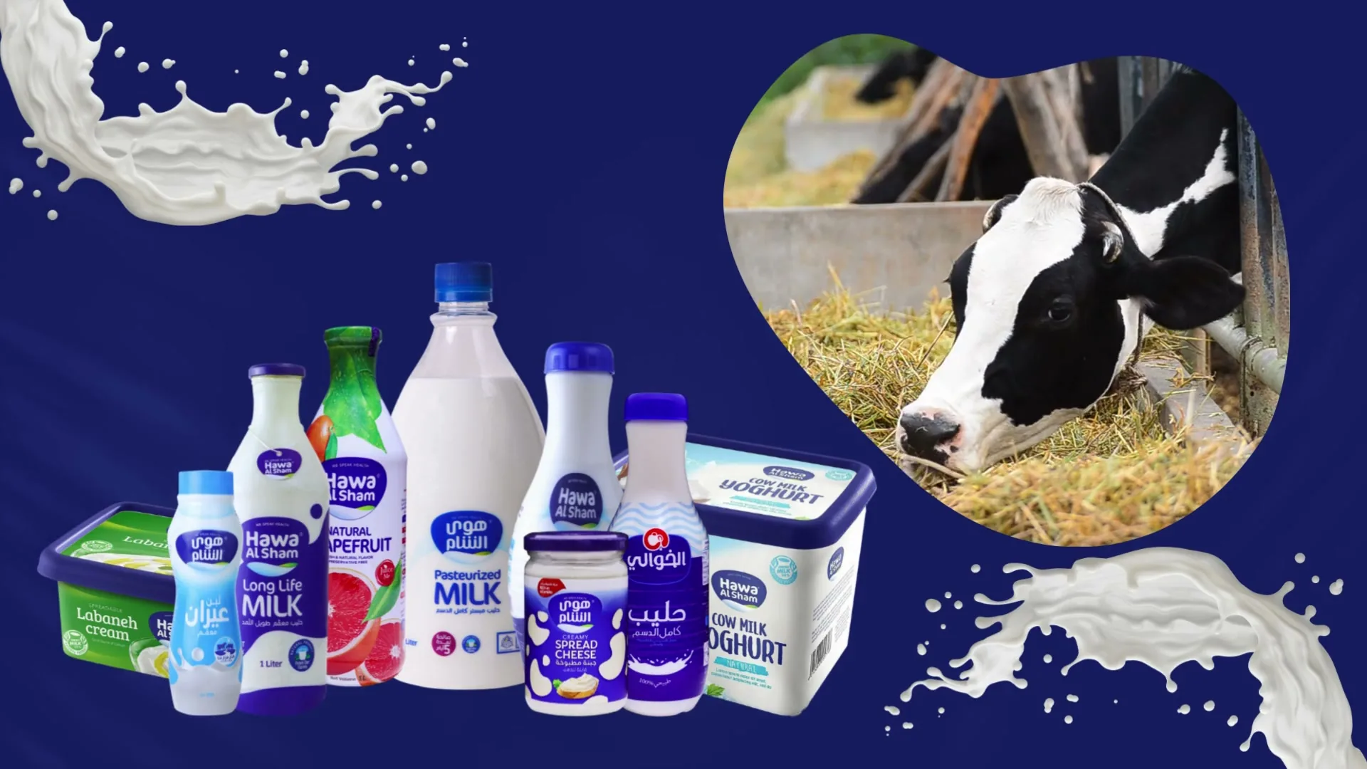 Hawa Al Sham product line-up with milk splashes and a cow, from the brand video